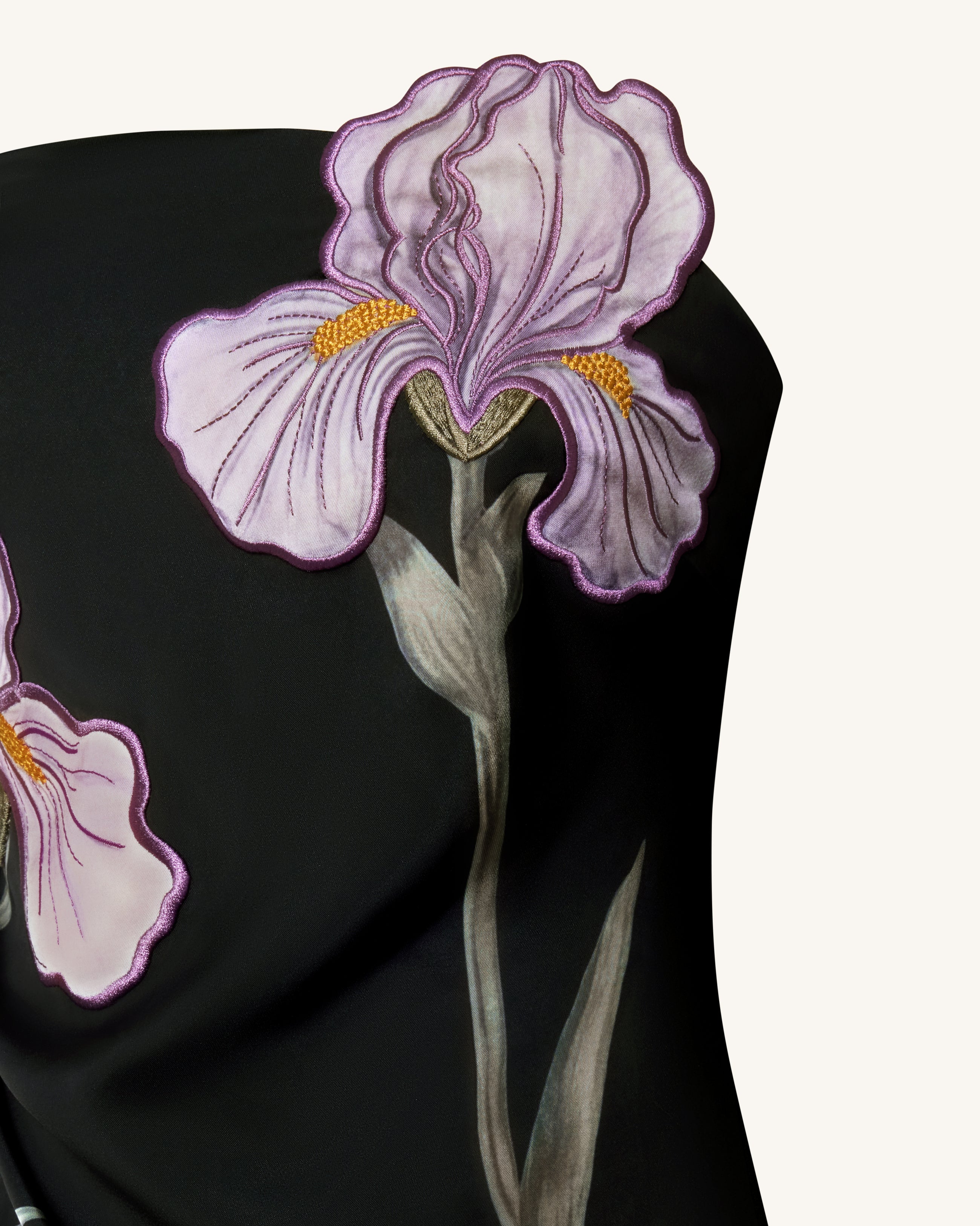 Iris Floral-Appliqué Strapless Maxi Dress - Black