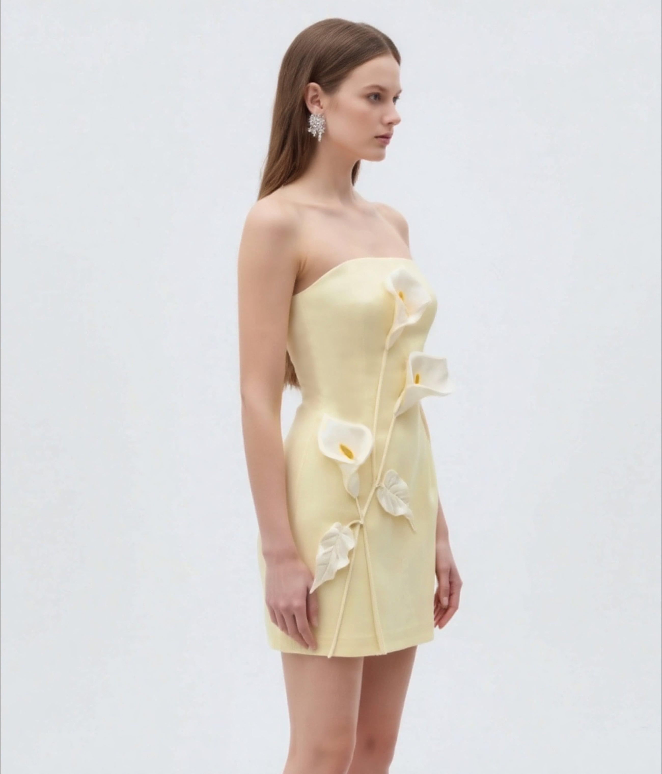 Strapless Floral Appliqué Dress - Yellow