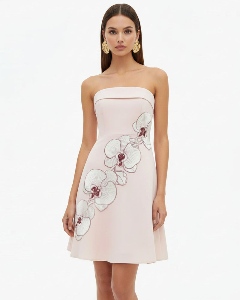 Orchid Embroidered Strapless A-Line Midi Dress - Blush Pink
