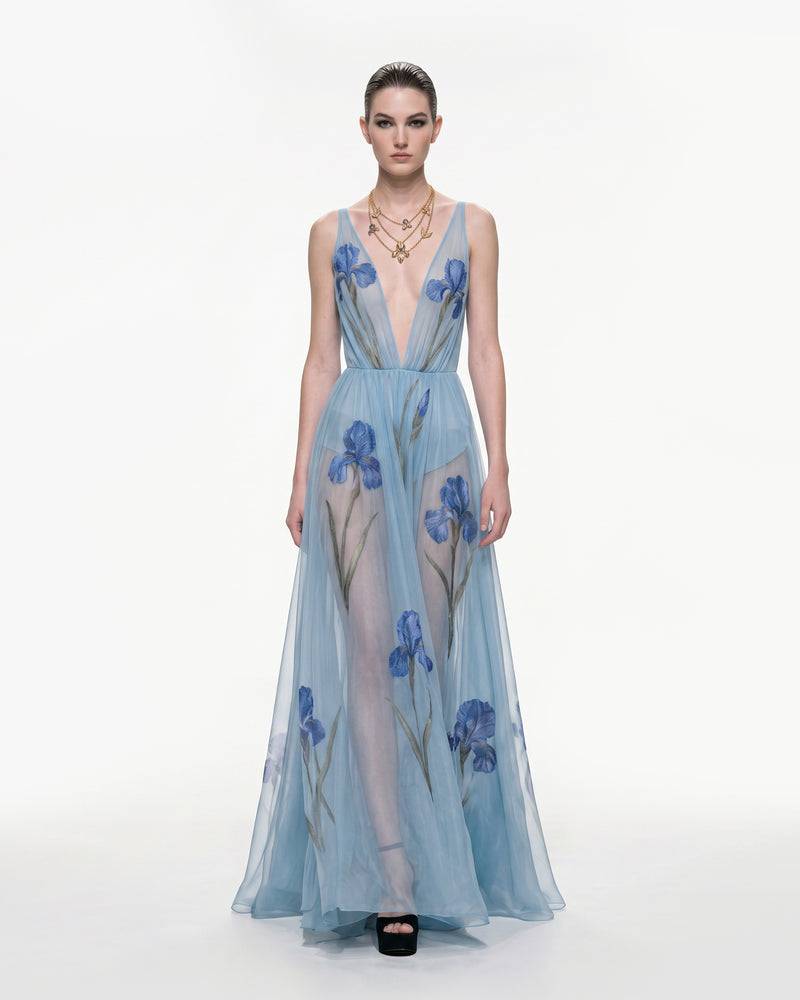 Sheer Floral Print Maxi Dress - Baby Blue