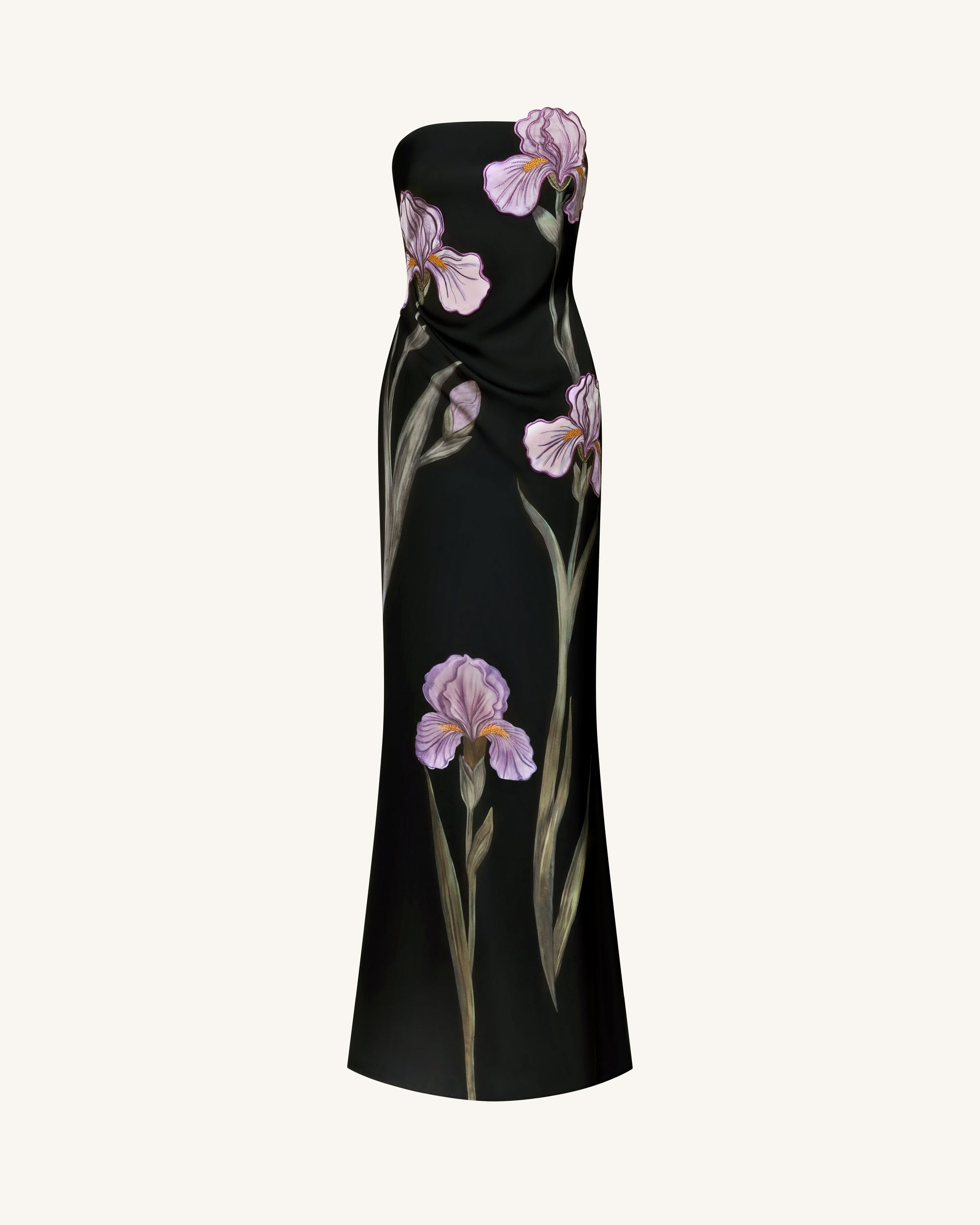 Iris Floral-Appliqué Strapless Maxi Dress - Black