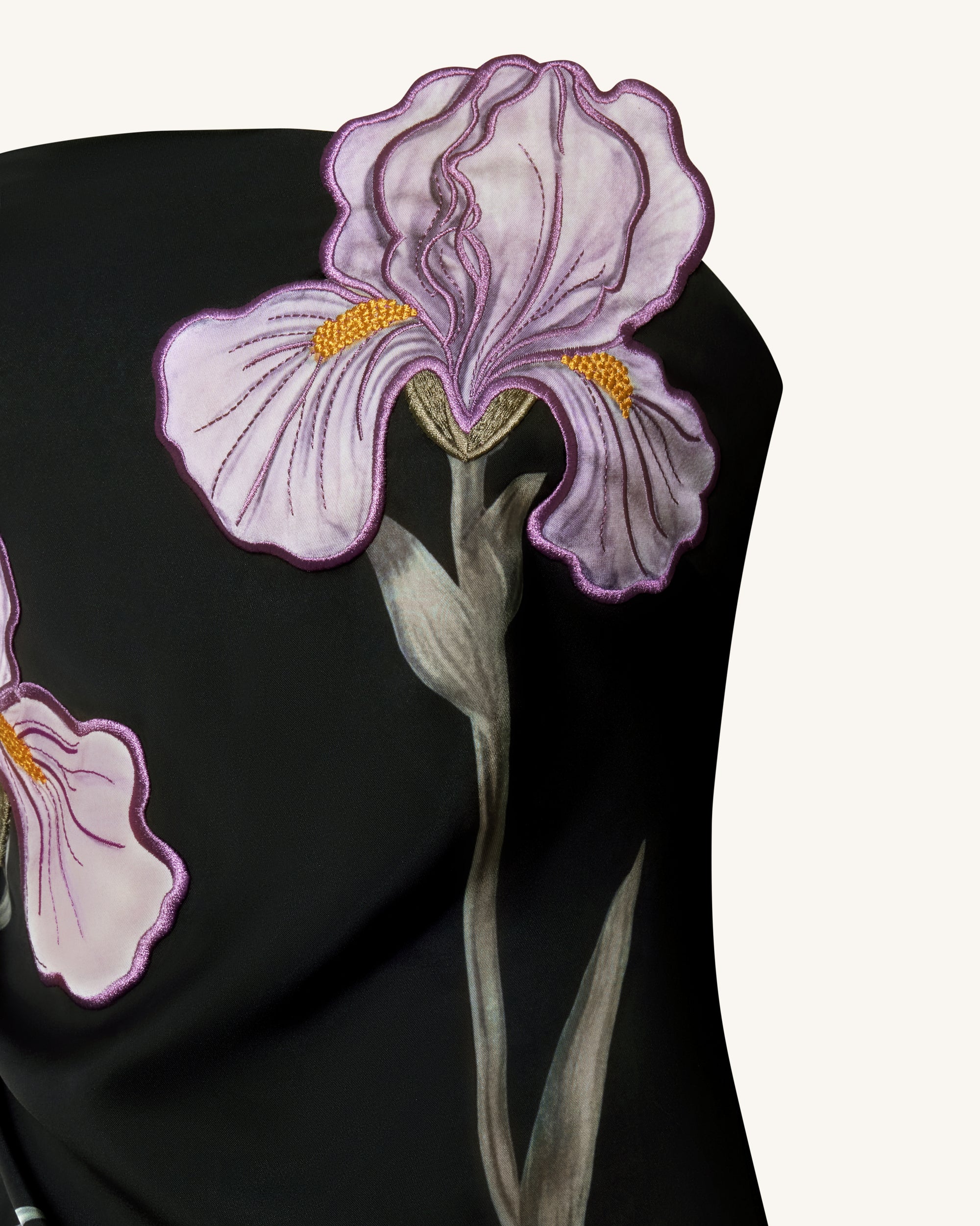 Iris Floral-Appliqué Strapless Maxi Dress - Black