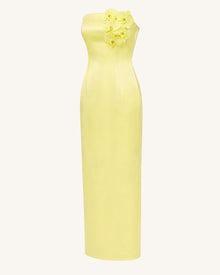 Orchid Embellished Strapless Maxi Dress - Yellow