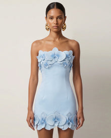 Orchid Trim Strapless Mini Dress - Blue