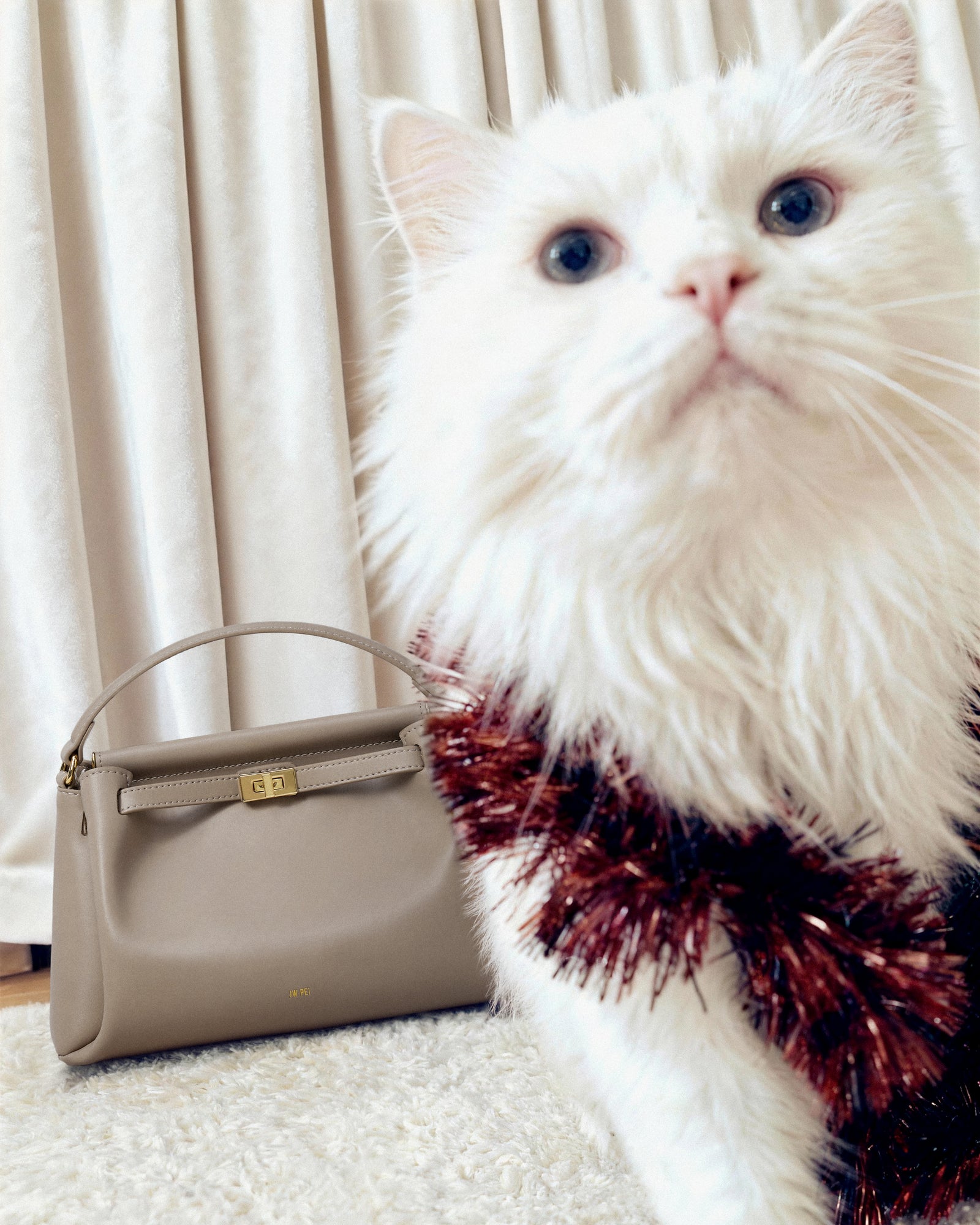 White cat with a beige handbag on a light background