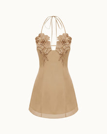 Flower Embroidered Mini Dress - Mocha Brown