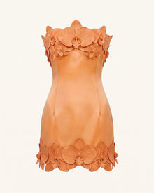Orchid Trim Strapless Mini Dress - Apricot