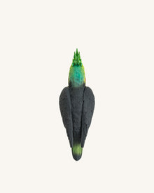 Gray Cockatiel Clutch Bag - Multicolor