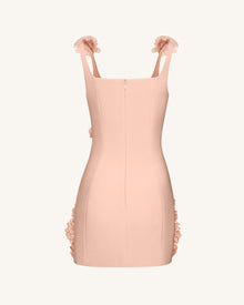 Elaina Pink Rosette Applique Mini Dress - Apricot