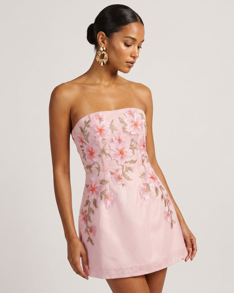 Floral Embroidered Strapless Corset Mini Dress - Light Pink