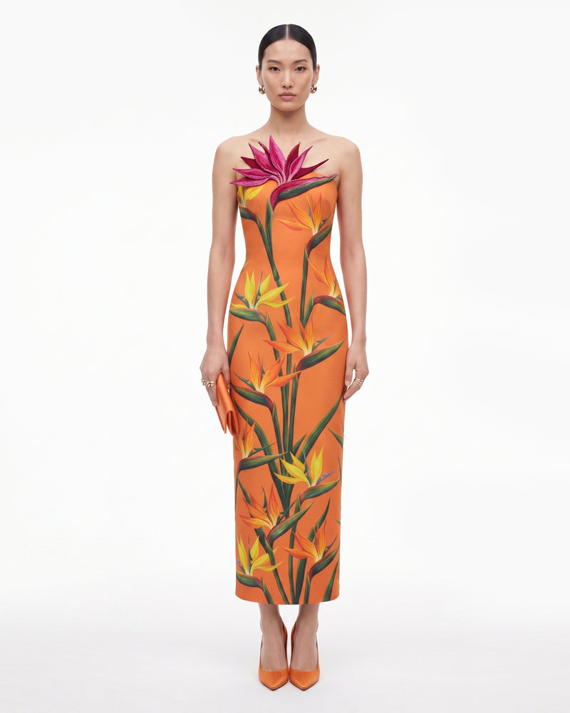 Bird of Paradise Appliqué Strapless Column Midi Dress - Orange