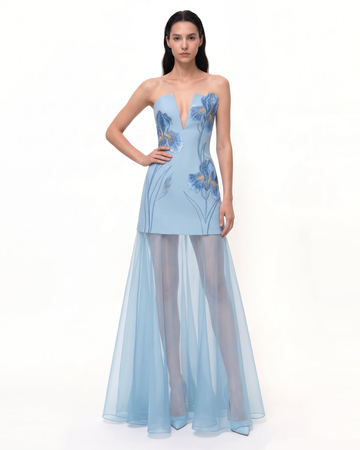 Iris Embroidered Plunge Sheer Overlay Maxi Dress - Light Blue