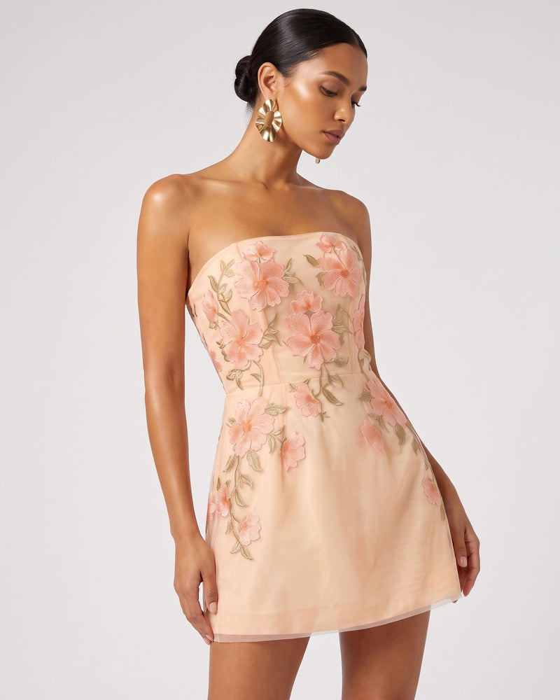 Floral Embroidered Strapless Corset Mini Dress - Pink-orange