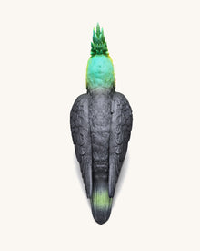 Gray Cockatiel Clutch Bag - Multicolor