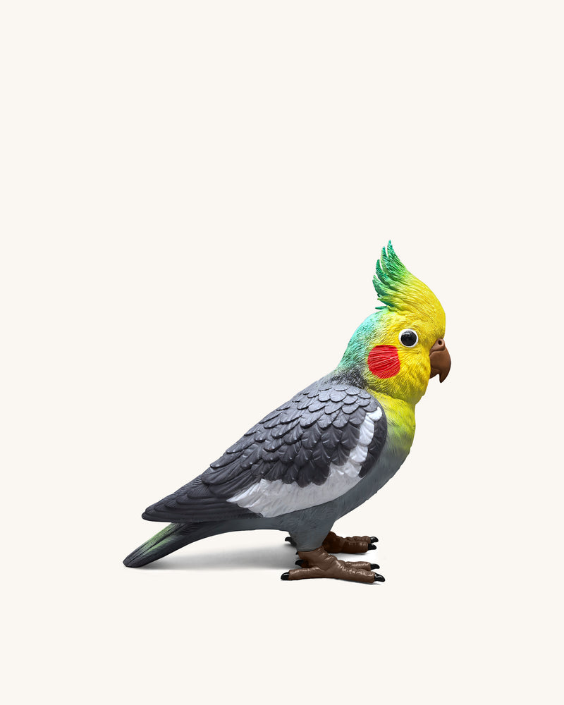 Gray Cockatiel Clutch Bag - Multicolor