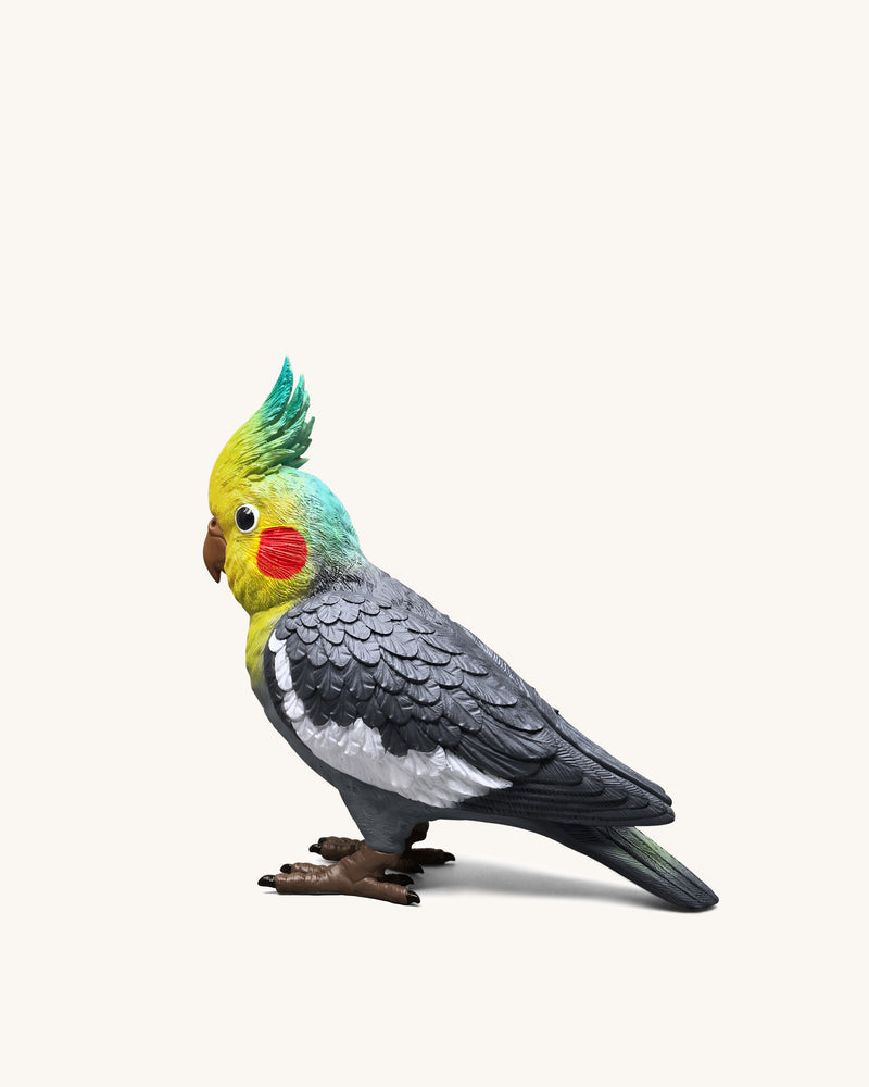 Gray Cockatiel Clutch Bag - Multicolor