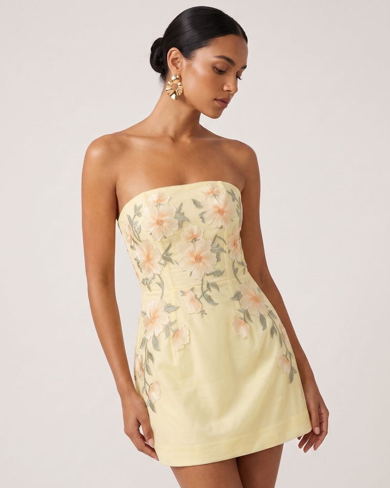 Floral Embroidered Strapless Corset Mini Dress - Light Yellow