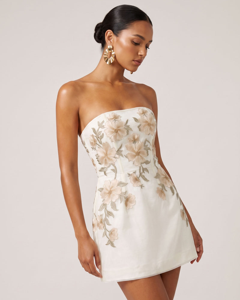 Floral Embroidered Strapless Corset Mini Dress - White