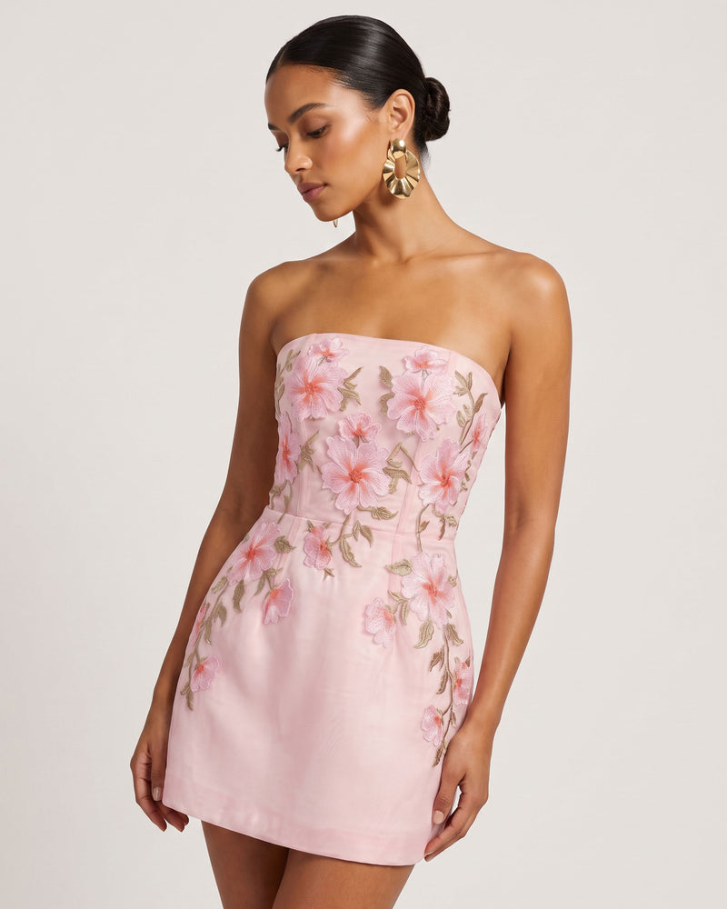 Floral Embroidered Strapless Corset Mini Dress - Light Pink