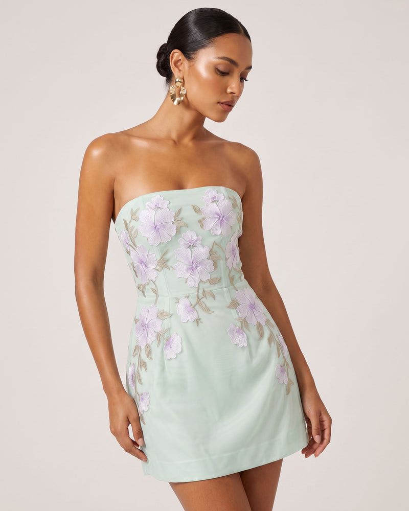 Floral Embroidered Strapless Corset Mini Dress - Mint Green